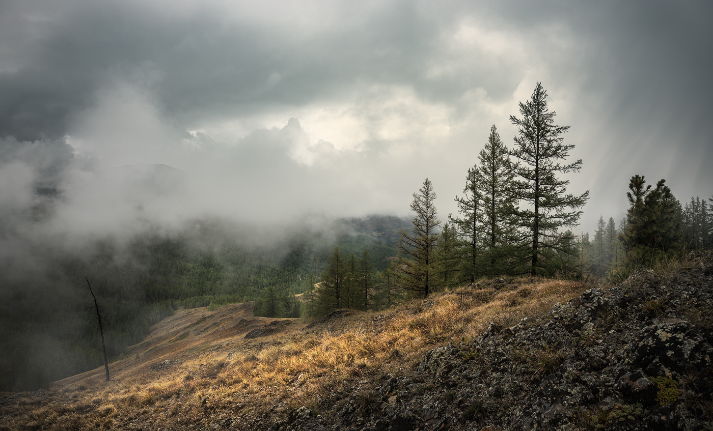 Altai - Altai, Nature, The nature of Russia, Russia, Kurai steppe, Severo-Chui Range, Aktru Gorge, Longpost, Altai Republic