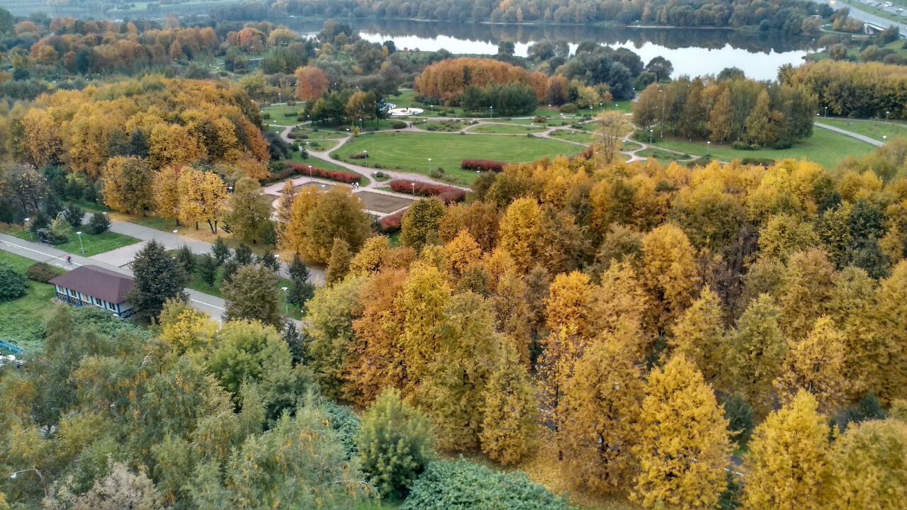 Осень....Москва.Борисовские пруды. - Моё, Осень, Москва