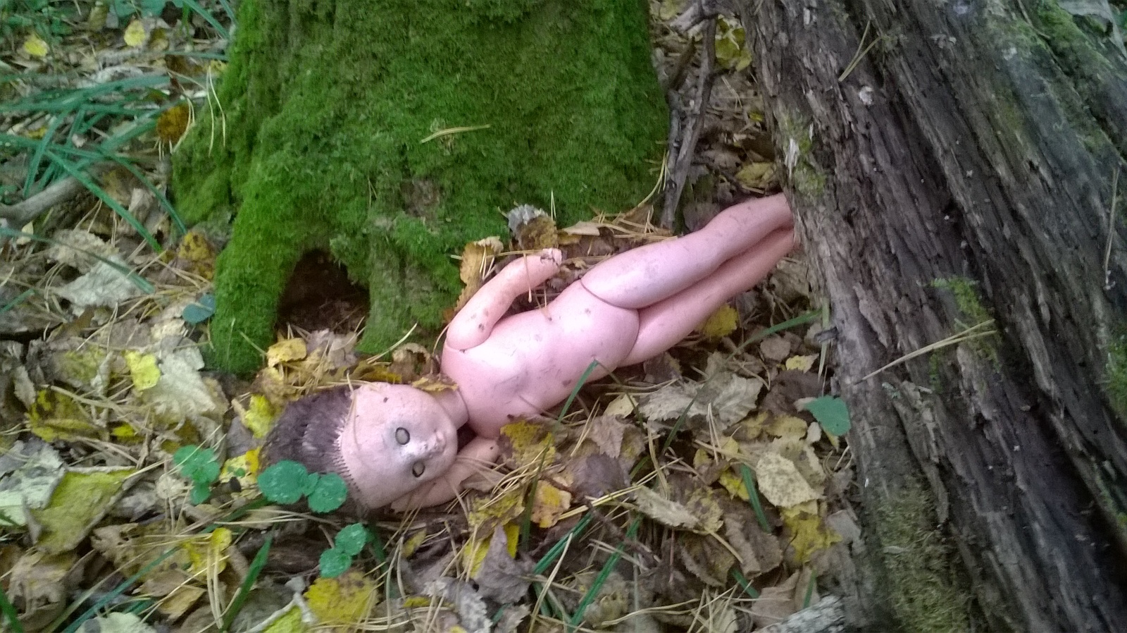 I went to the forest... - Forest, Mat, Doll, Unknown crap, Mushrooms, Longpost