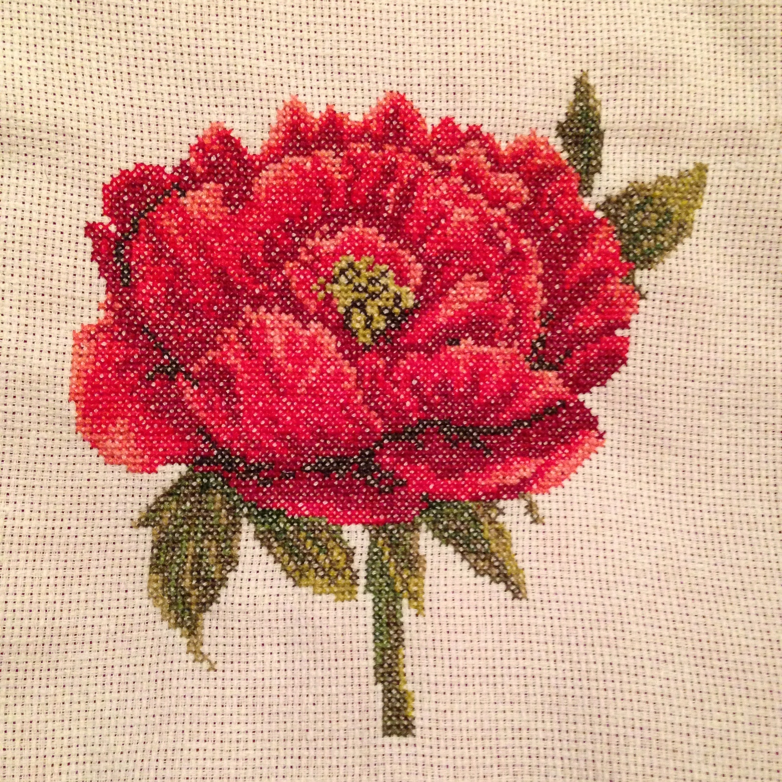 My Friday embroidery - My, Friday tag is mine, Peonies, Cross-stitch, Embroidery, Hobby