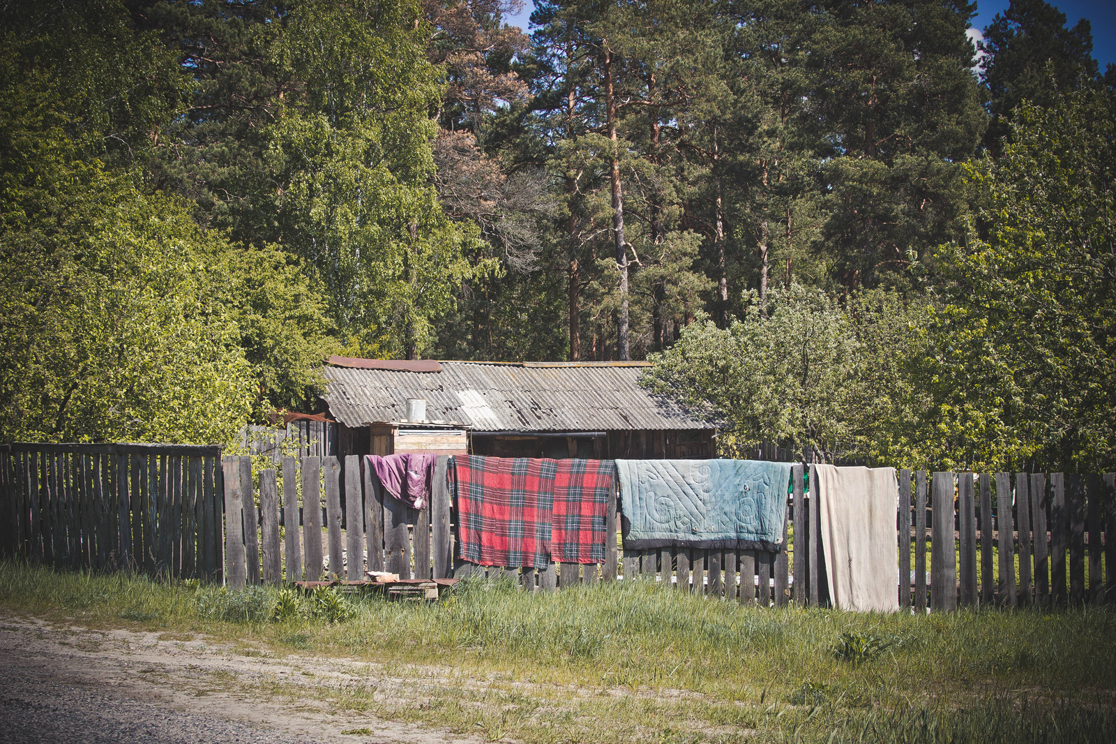 Place from childhood - My, Village, Abandoned, Childhood, Memories, Labrador, Dog, Summer, Longpost