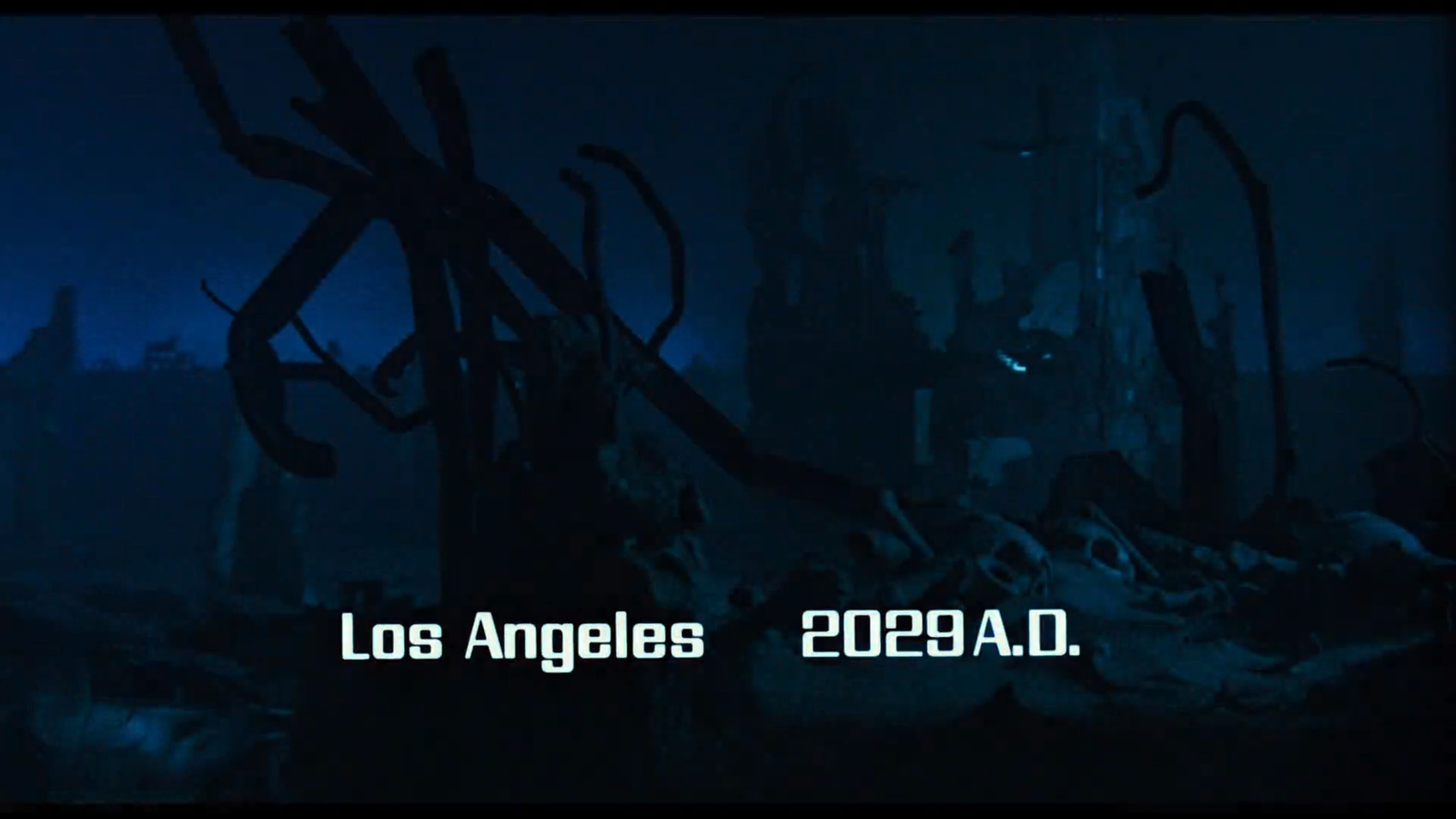Do you remember the movie Terminator??? - Scene from the movie, Terminator, Los Angeles, 2029