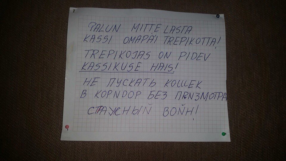 Страусный войн! - Опечатка, Перевод, Русский язык, Записки, Подъезд, Кот, Эстония