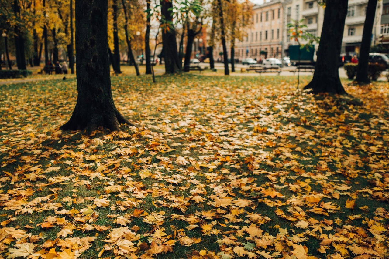 Осень в Гомеле | Пикабу