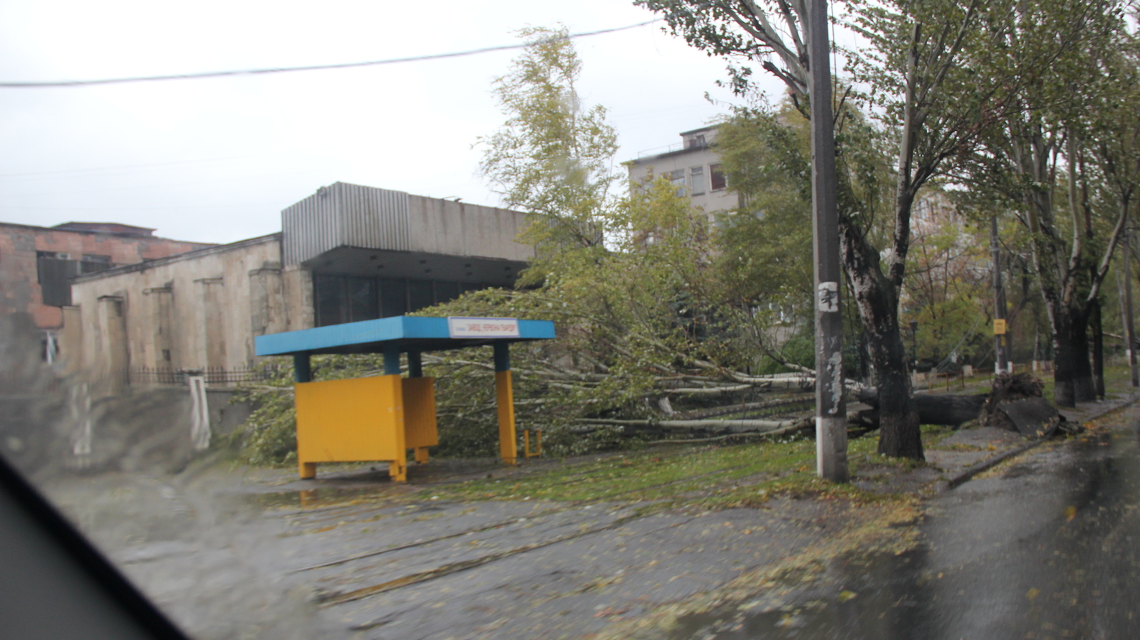 Hurricane Storm strong wind rain and all this in Odessa 12-10-2016 - My, Hurricane, Odessa, Wind, Rain, Strong, Storm, The fall, Tree, Longpost