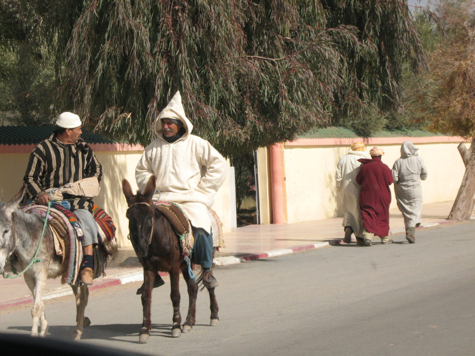 Arabian fairy tale in pictures - My, Photo, Africa, Travels, Longpost