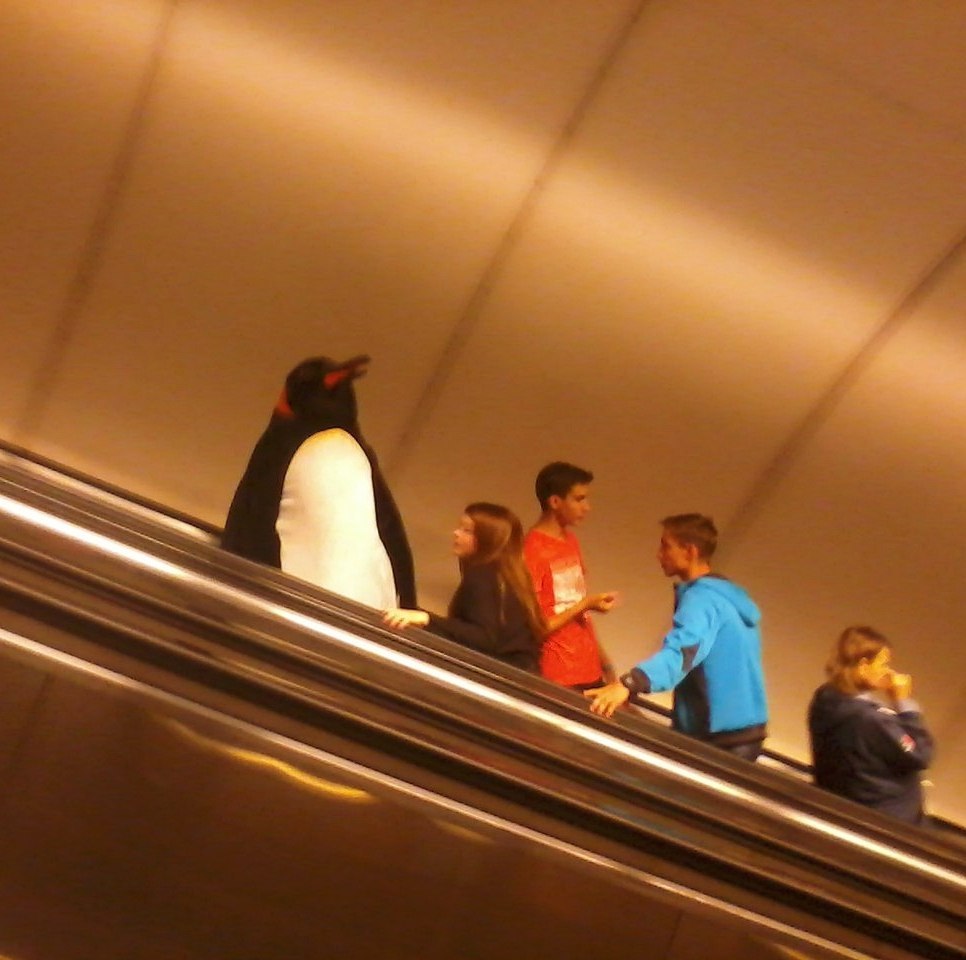 Petersburg metro - Penguins, Metro, Saint Petersburg, Work