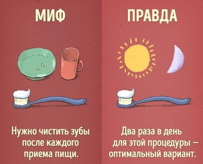 Правда или миф