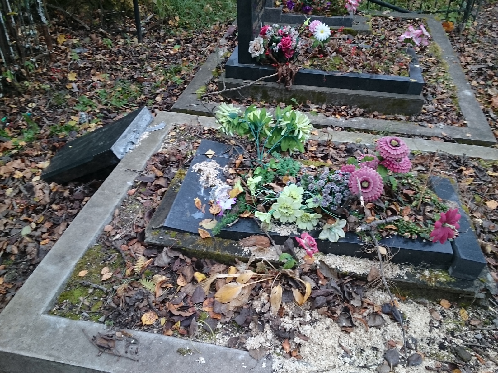 Санкт петербург кладбище жертв 9 января