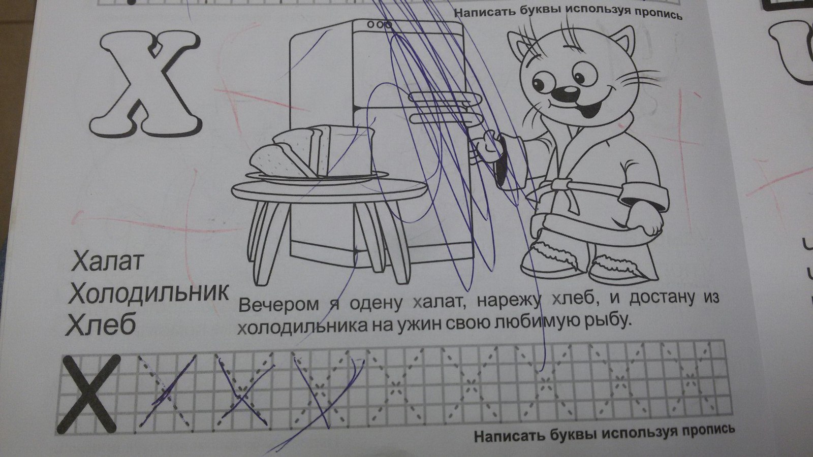 Sheep don't like cucumbers! Philologist cried - My, , Russian language, Philology, Sberbank, Education, ABC, Грамматика, Children, Longpost