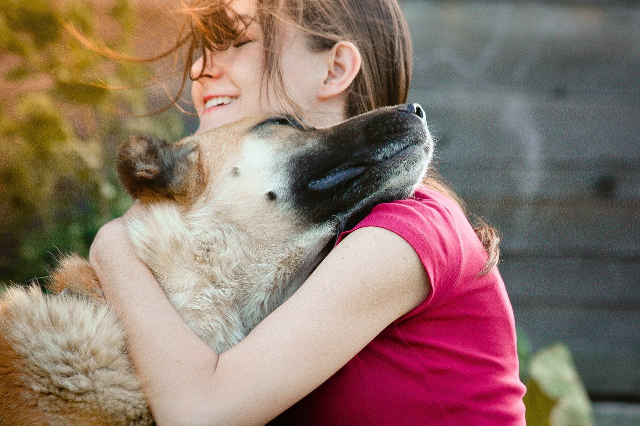 Shelter Sawmill. - My, Magic, Kindness, Dog, cat, Longpost