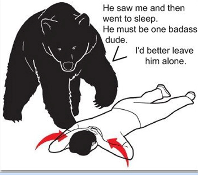 Regarding the advice to pretend to be dead when meeting a bear - Bear, Pretense, Dream, Coolness, Advice, Translation, The Bears