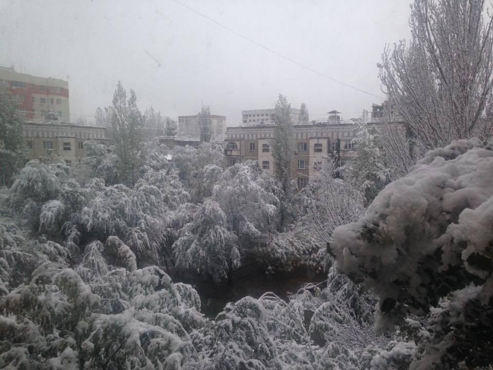 First snow in Bishkek 2016. - Kyrgyzstan, Bishkek, Snow, Not mine