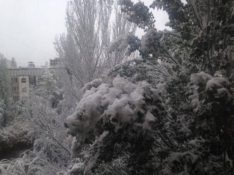 First snow in Bishkek 2016. - Kyrgyzstan, Bishkek, Snow, Not mine