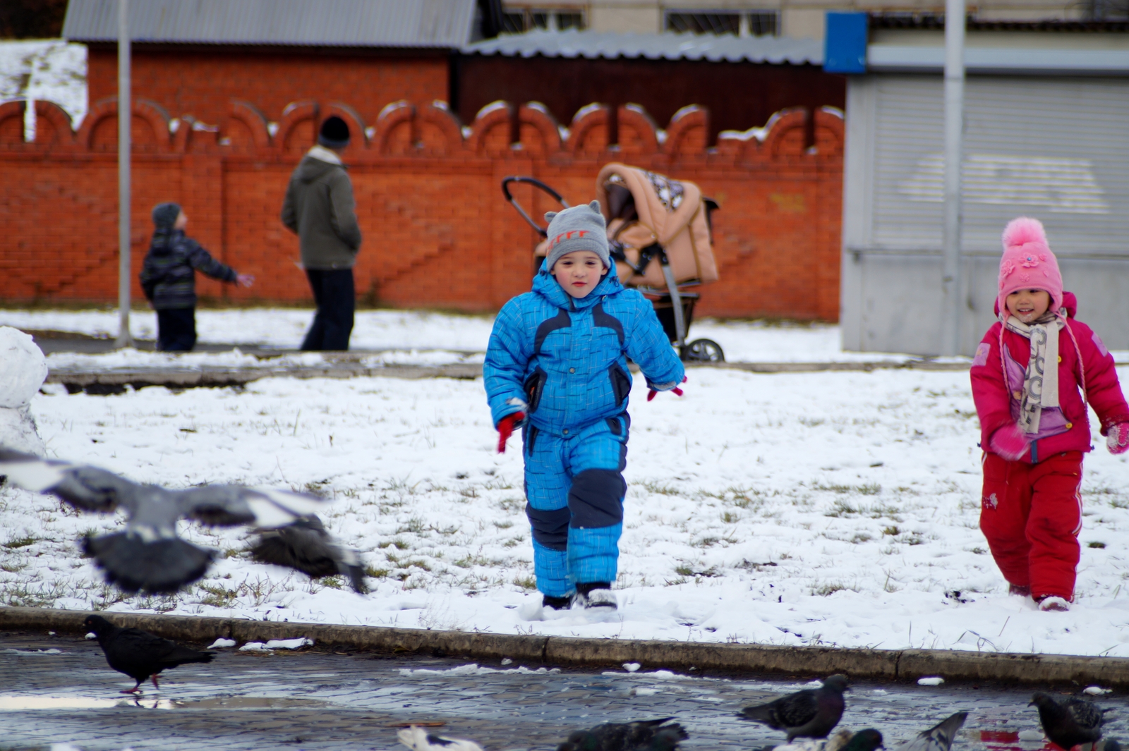 City walk - My, Town, Walk, Autumn, Snow, Krasnoyarsk, Longpost