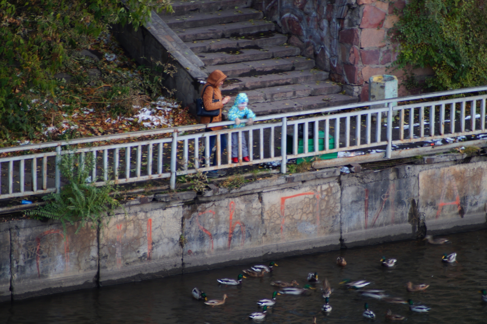 City walk - My, Town, Walk, Autumn, Snow, Krasnoyarsk, Longpost