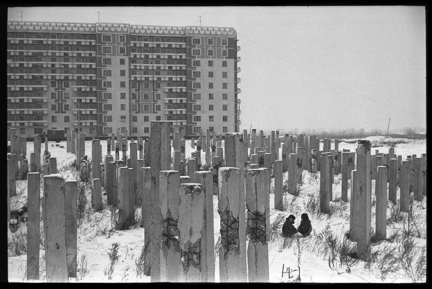 Фото Владимира Соколаева - Соколаев, Фото, Фотограф, Жизнь, Россия, Длиннопост