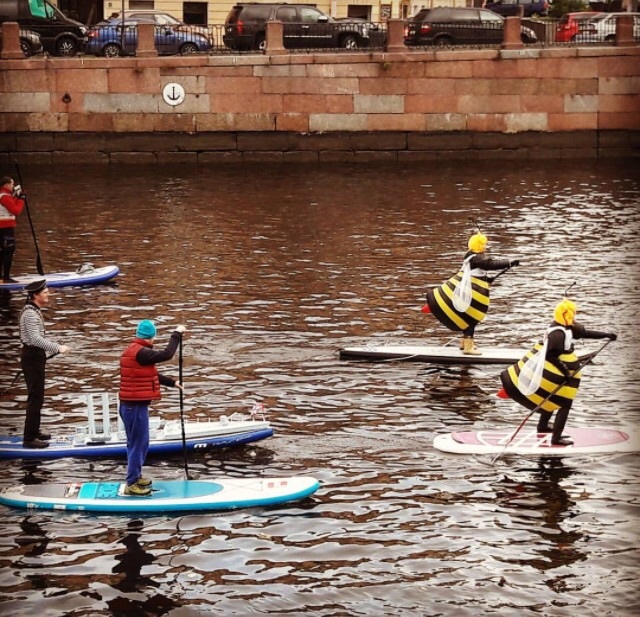 bees and cookies - Saint Petersburg, Sup, Surfing, SUPsurfing