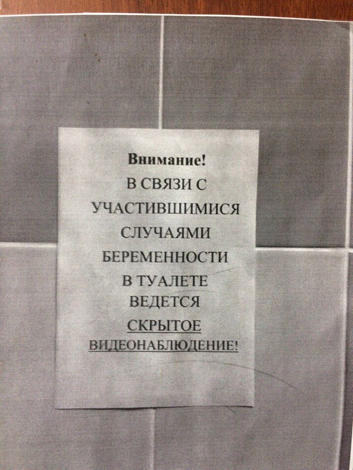 In one of the bars in Tyumen - My, Pregnancy, Toilet