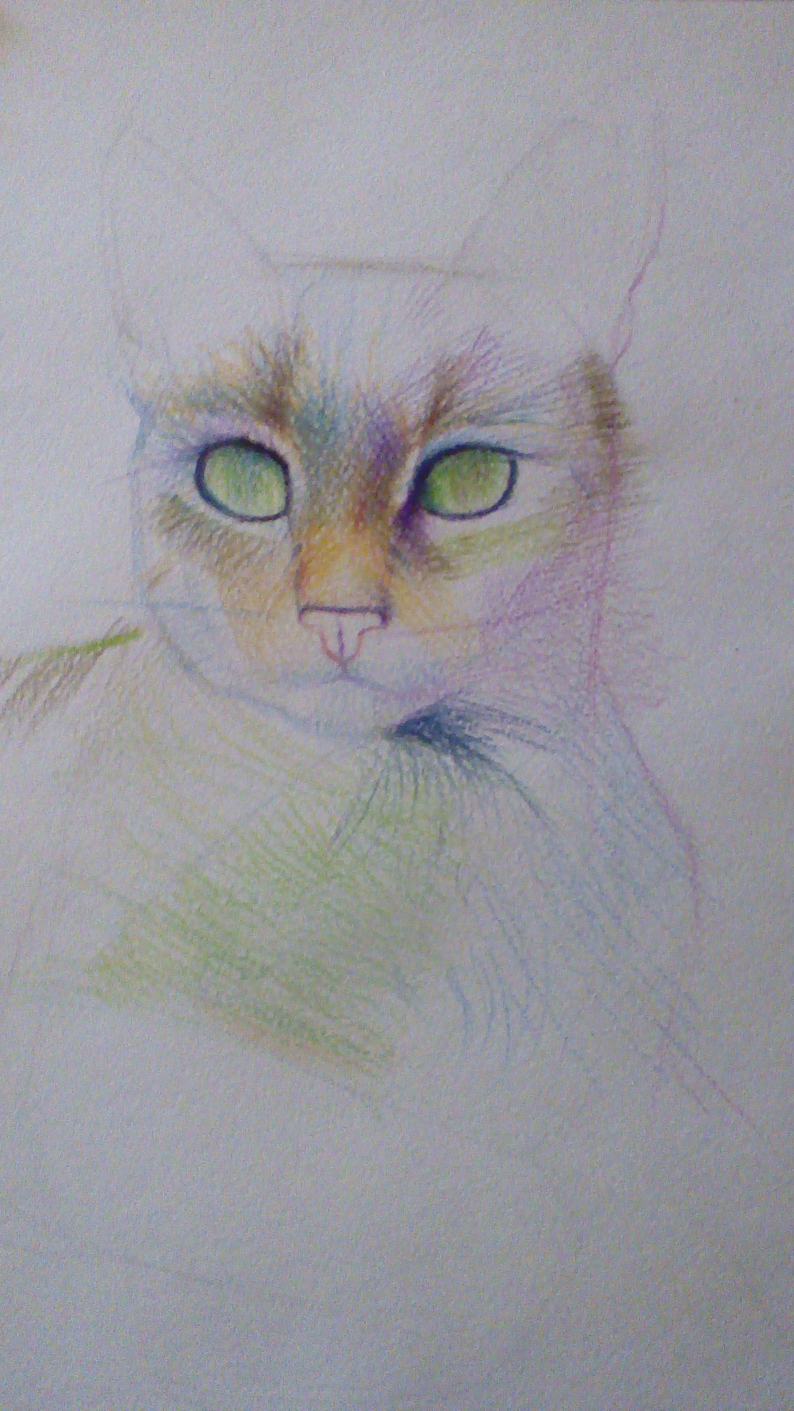 Sonya - My, Drawing, cat, Graphics, Art, Longpost