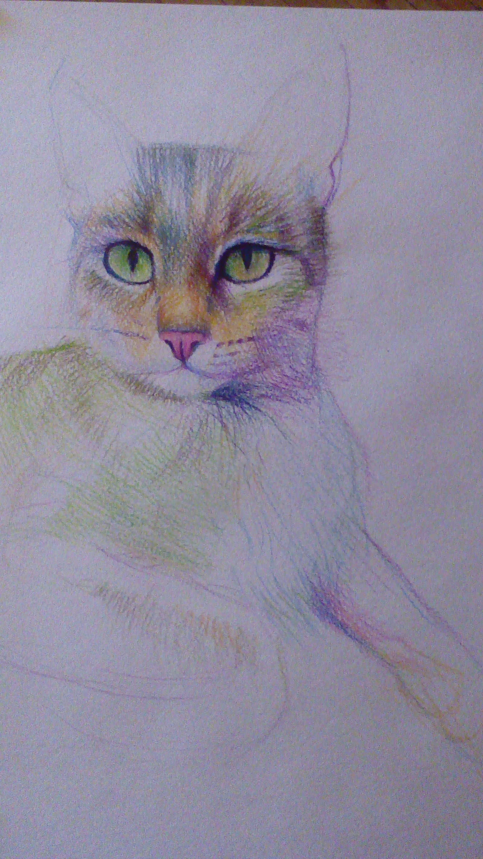 Sonya - My, Drawing, cat, Graphics, Art, Longpost