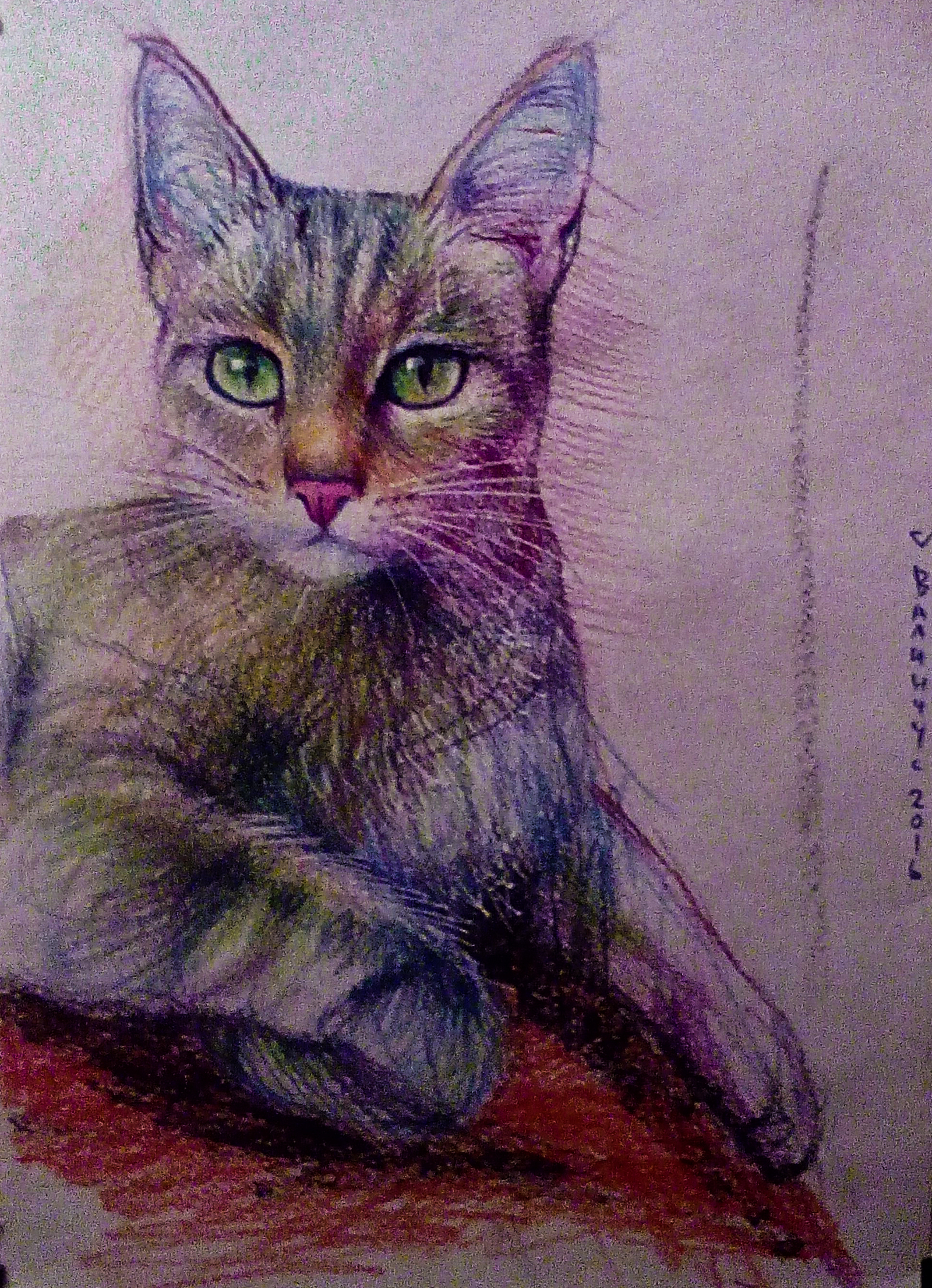 Sonya - My, Drawing, cat, Graphics, Art, Longpost