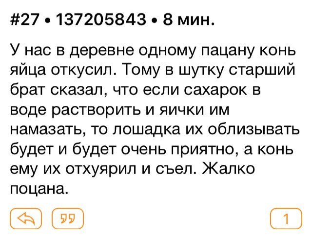 Упс, неприятно вышло... - Двач, Лошади, Жалко поцана, Яички, Сахар, Происшествие