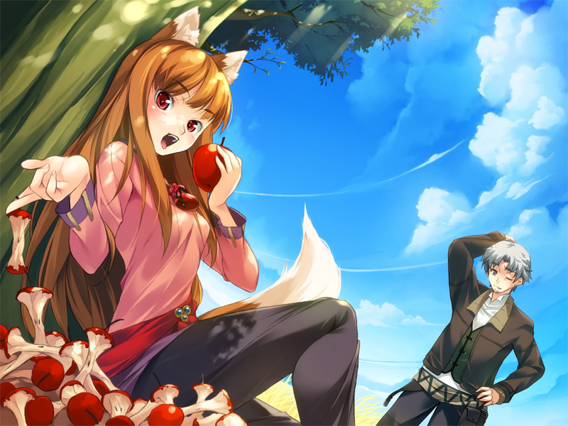 Spice and Wolf. - Anime art, Anime, Spice and Wolf, Horo holo, Holo, Kraft lawrence