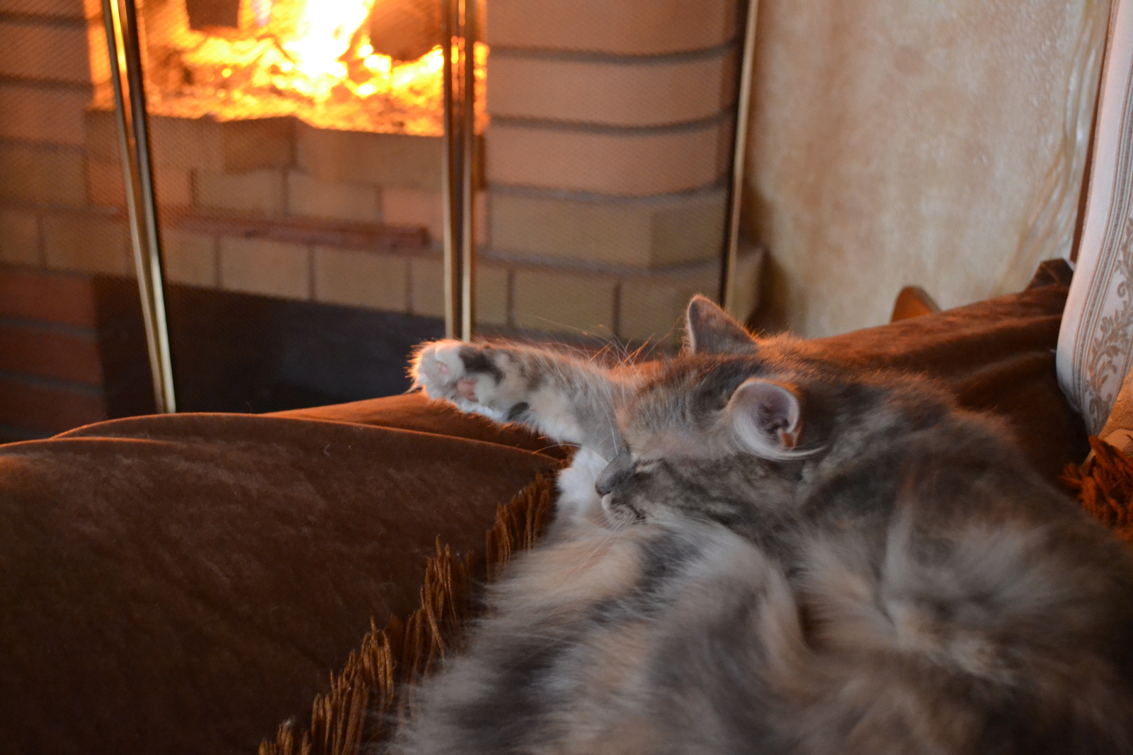 By the fireplace - My, cat, Fireplace, Heat