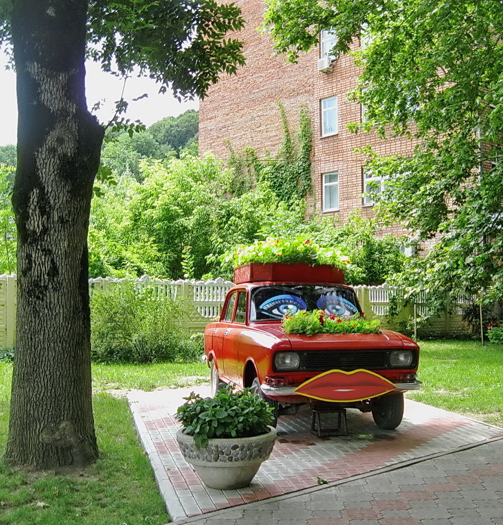 The second life of a Muscovite in women's hands - Photo, Auto, Moskvich, Flower bed