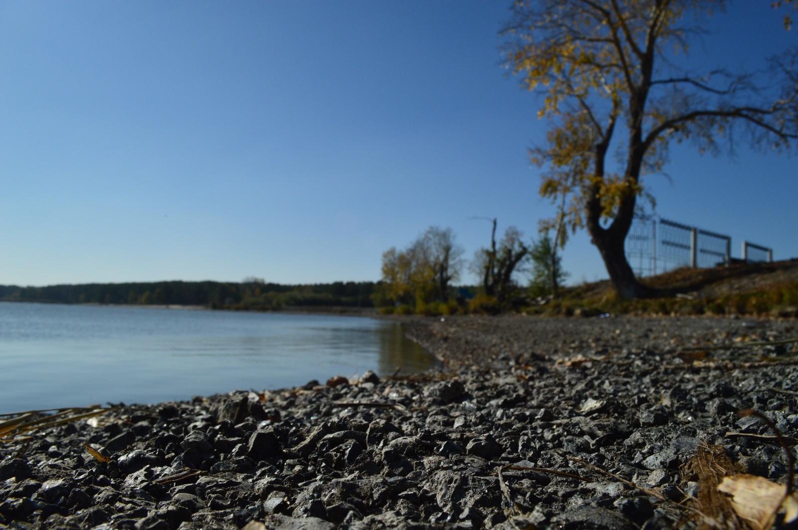 The story of a walk... - My, My, Photo, The photo, Siberia, Altai, Pavlovsk, Autumn, Nikon, Longpost, Altai Republic