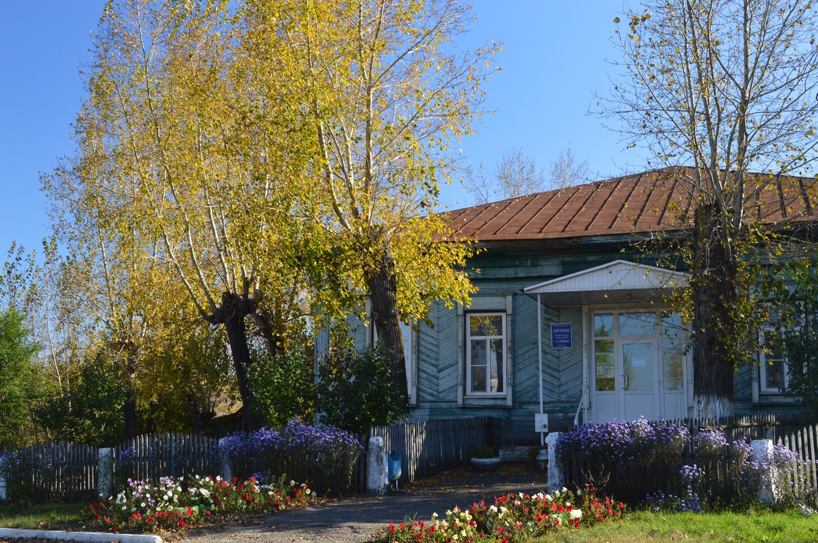 The story of a walk... - My, My, Photo, The photo, Siberia, Altai, Pavlovsk, Autumn, Nikon, Longpost, Altai Republic