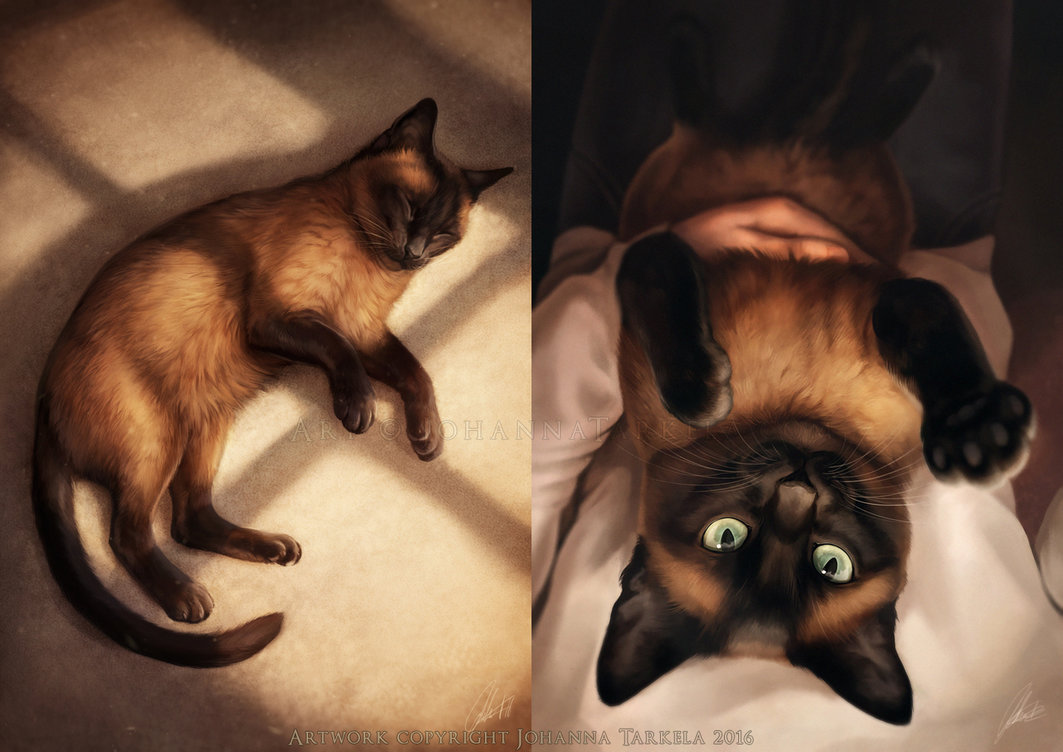 Art with cats - Johis, cat, Art, A selection, Longpost