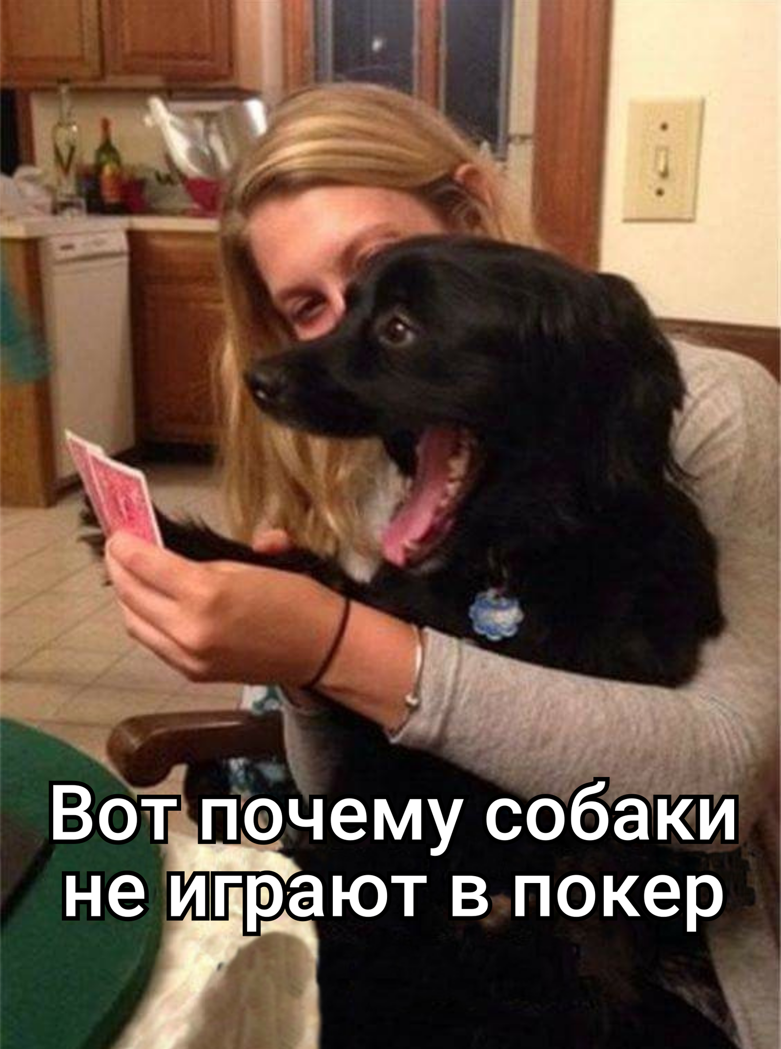 Dogs and poker - Dog, Humor, Images, Poker