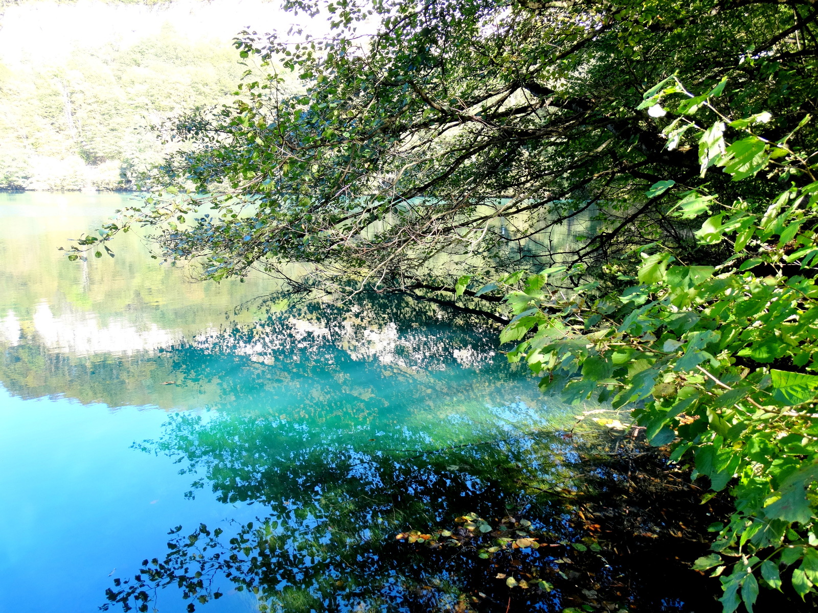 Photo post - CBD. - My, Excursion, Blue Lake, Kabardino-Balkaria, Travel across Russia, Lake, , My, Longpost