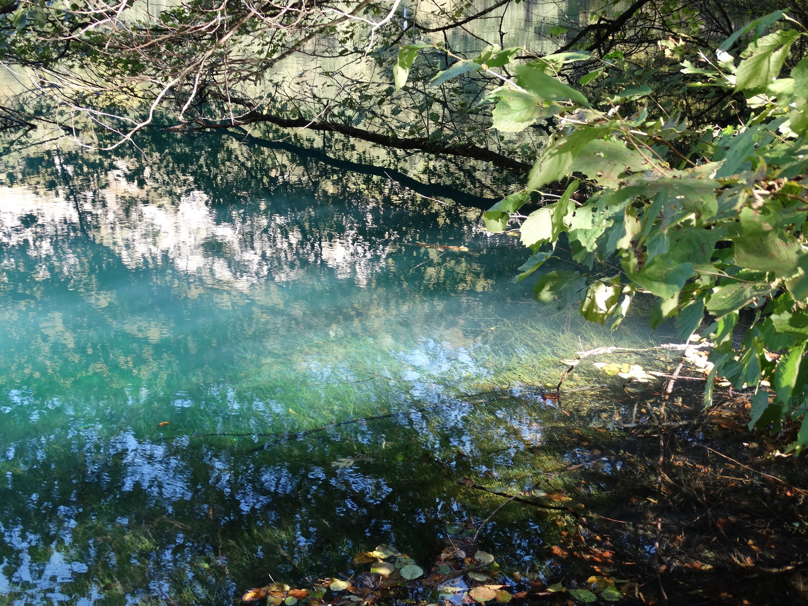 Photo post - CBD. - My, Excursion, Blue Lake, Kabardino-Balkaria, Travel across Russia, Lake, , My, Longpost