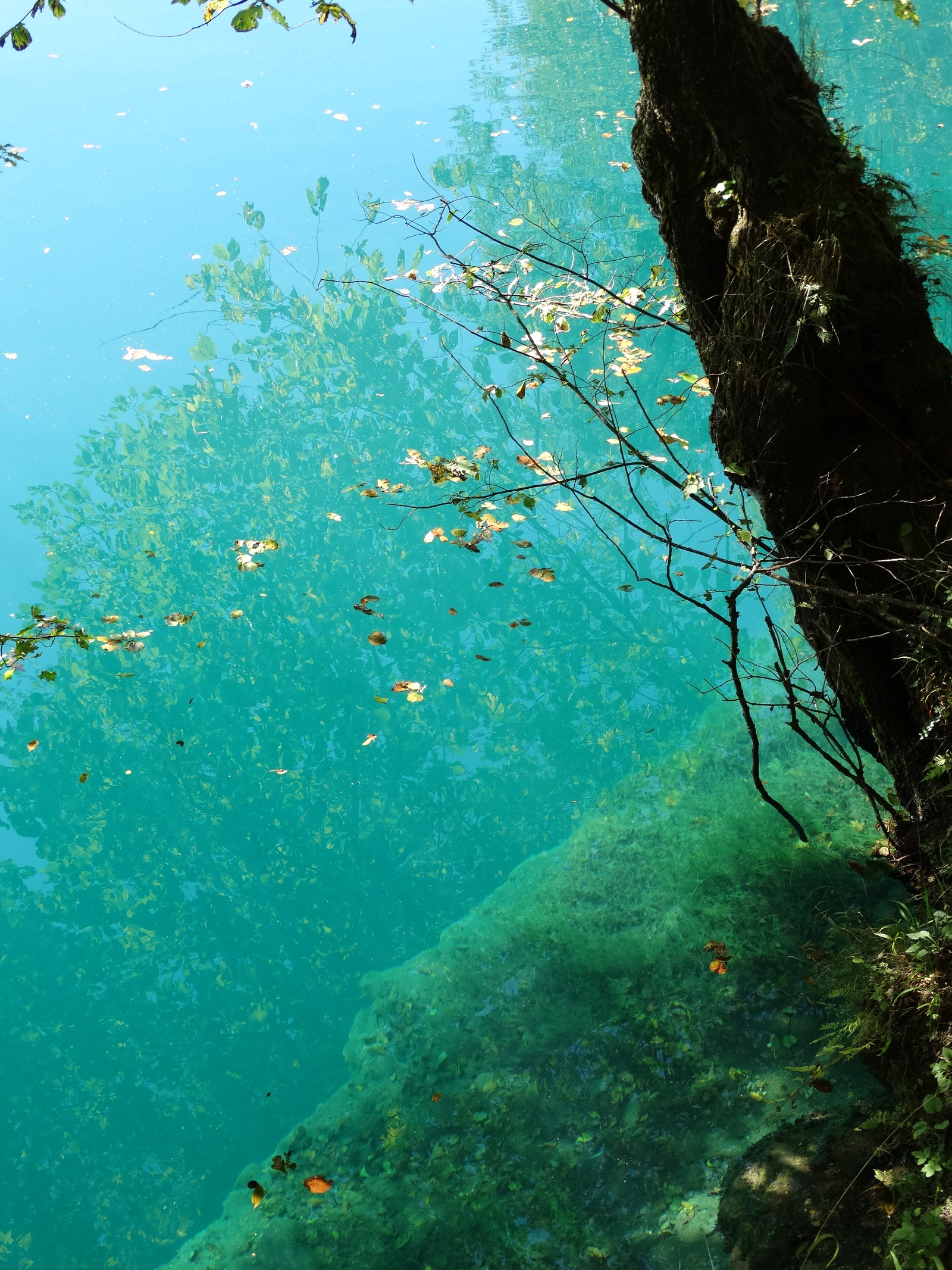 Photo post - CBD. - My, Excursion, Blue Lake, Kabardino-Balkaria, Travel across Russia, Lake, , My, Longpost