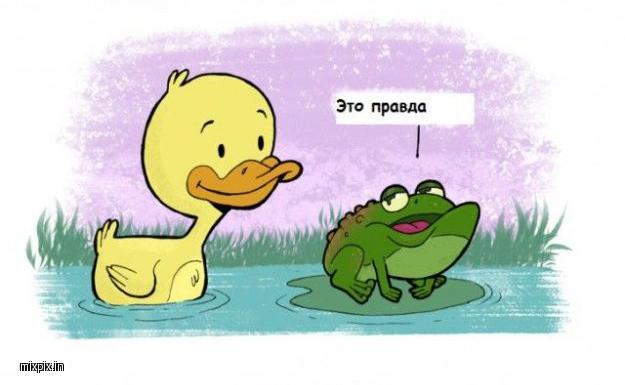 Drug toad. - Comics, Duck, Toad, Pond, Mixpixin, Longpost