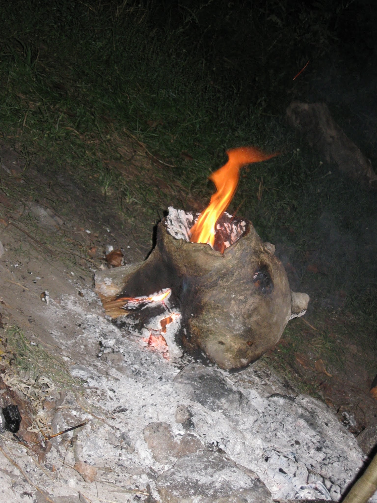 Random frame - My, Photo, Bonfire, Scull, Kripota