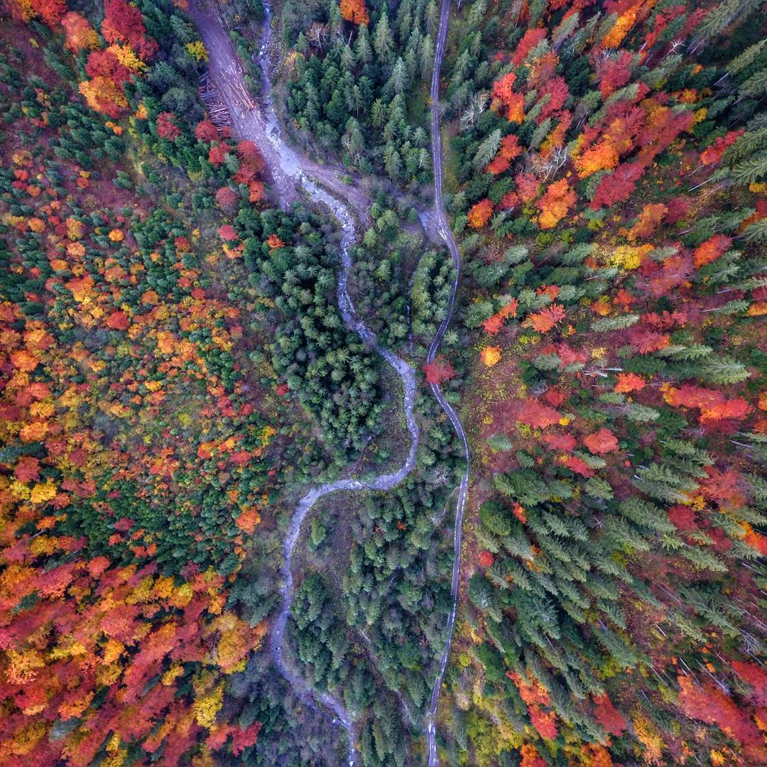 Carpathians, Dzembronya - Carpathians, The mountains, Autumn