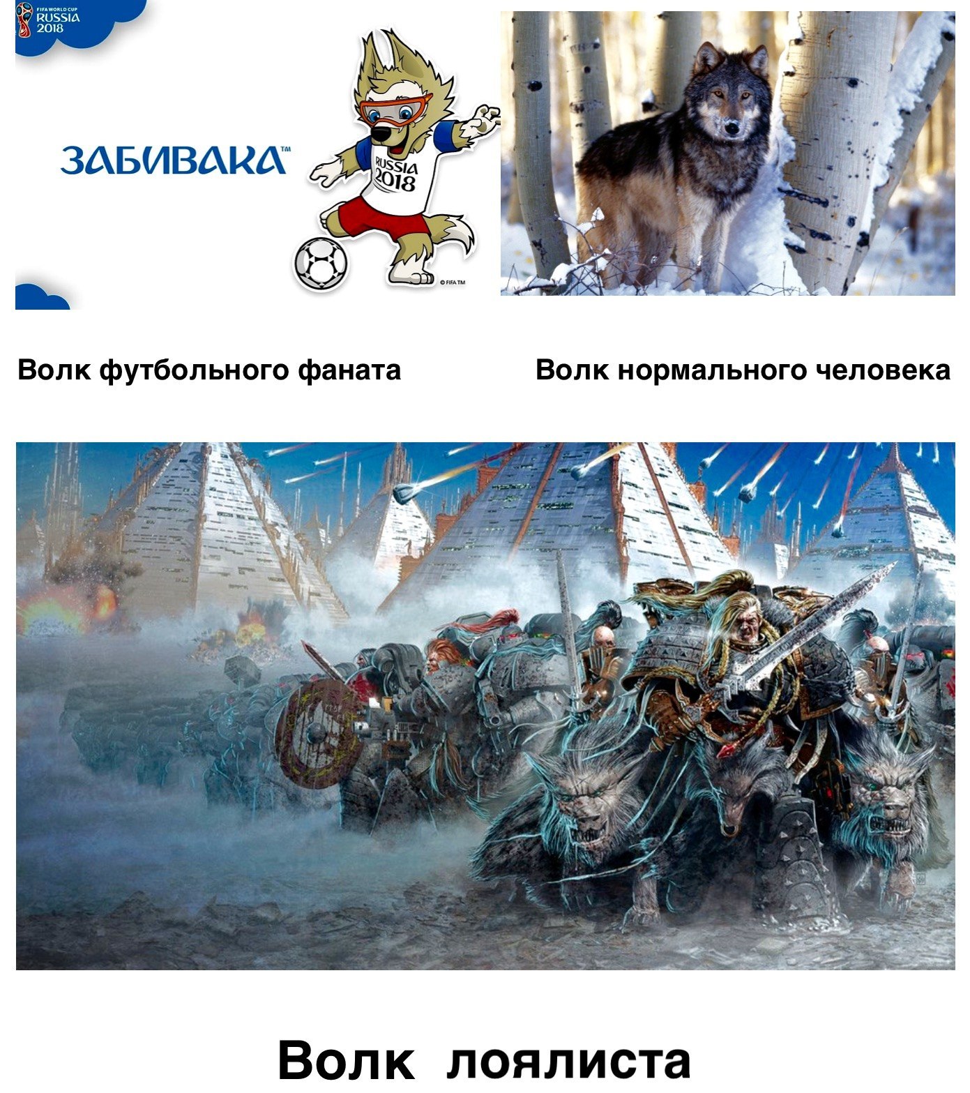 About wolves. - Warhammer 40k, Space wolves, Wolf, Zabivaka, Humor