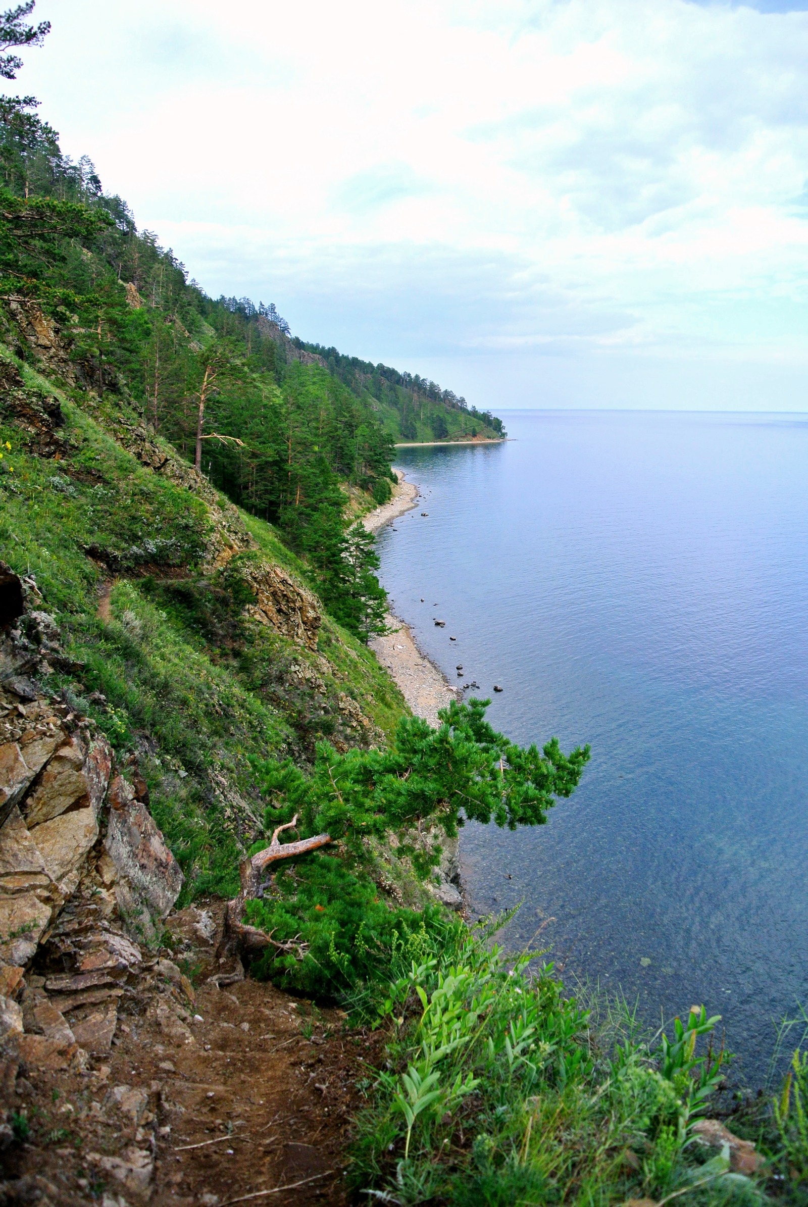 Summer. Baikal. Big Cats. - My, Baikal, Travels, Tourism, Great Baikal Trail, Longpost