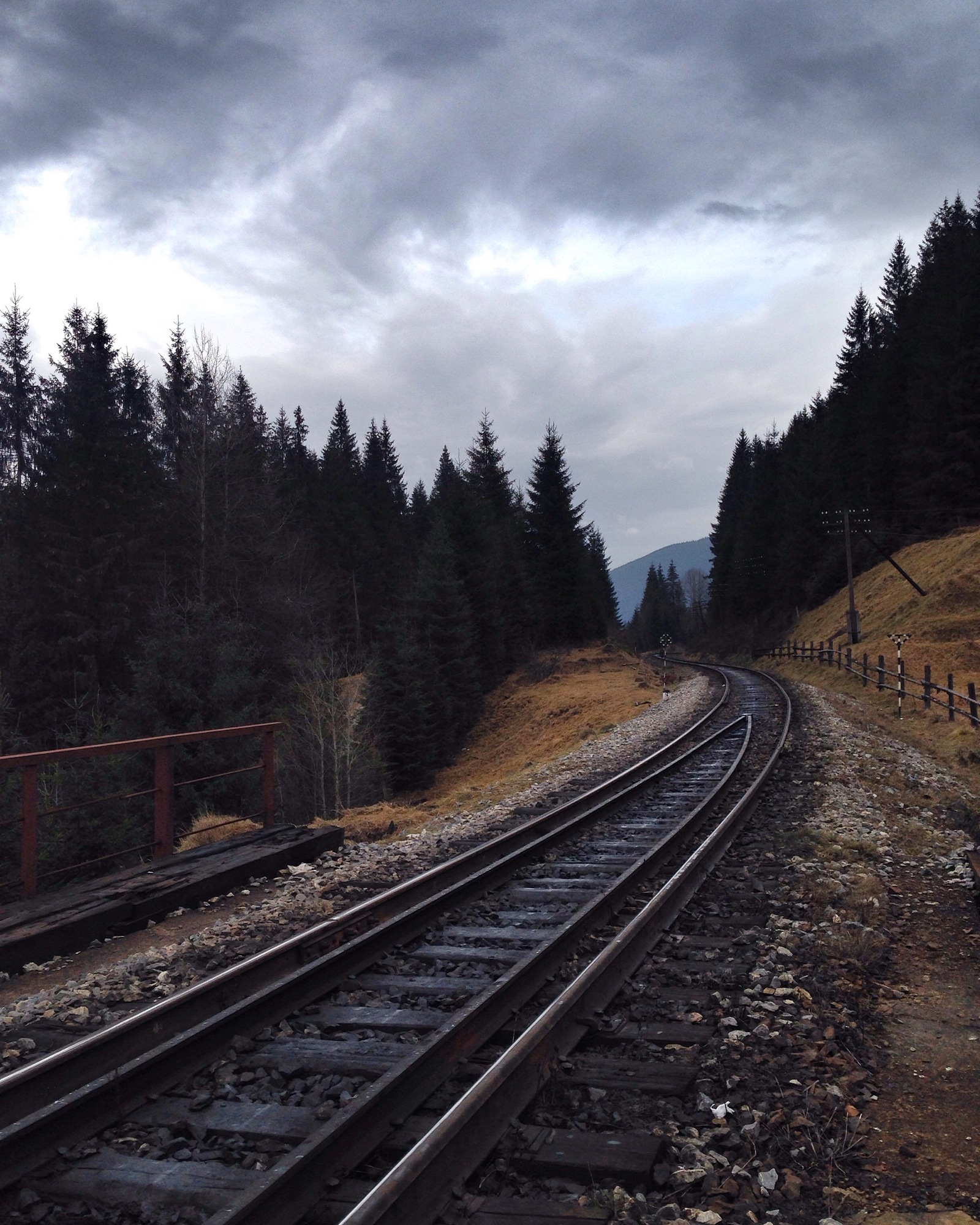 Do you love the railroad as much as I do? - My, Photo, A train, Railway, Longpost