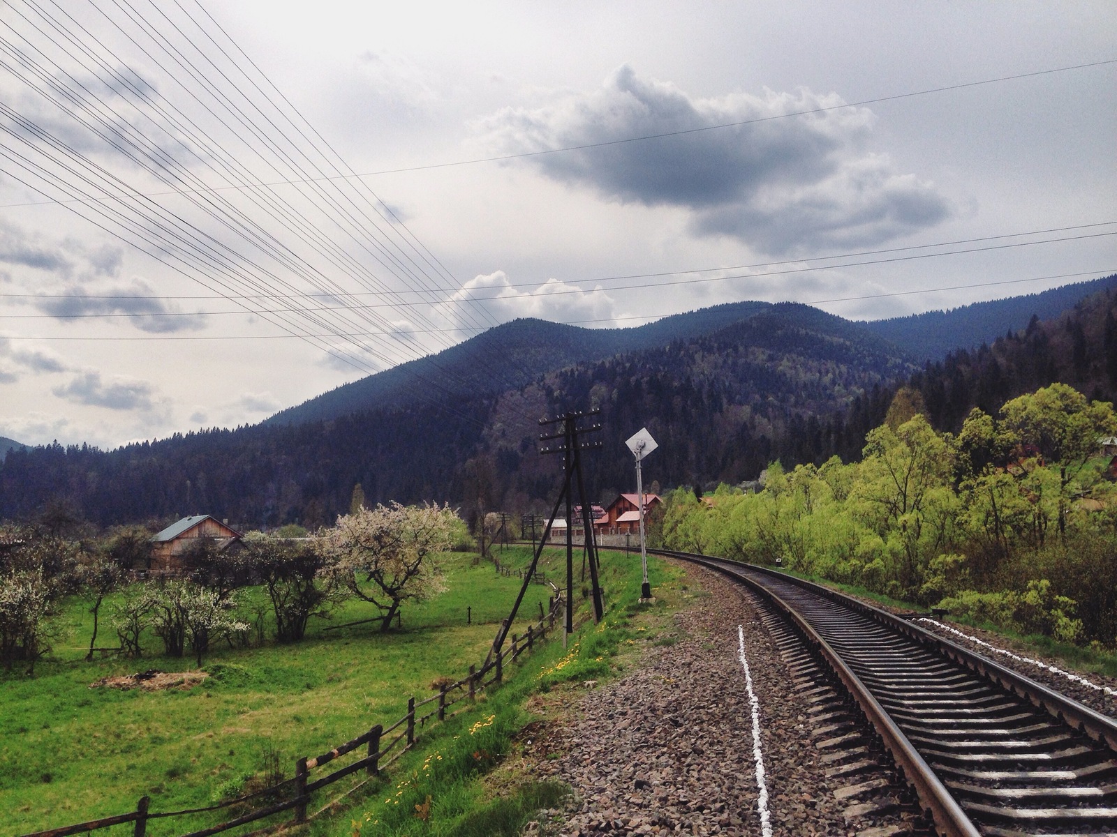 Do you love the railroad as much as I do? - My, Photo, A train, Railway, Longpost