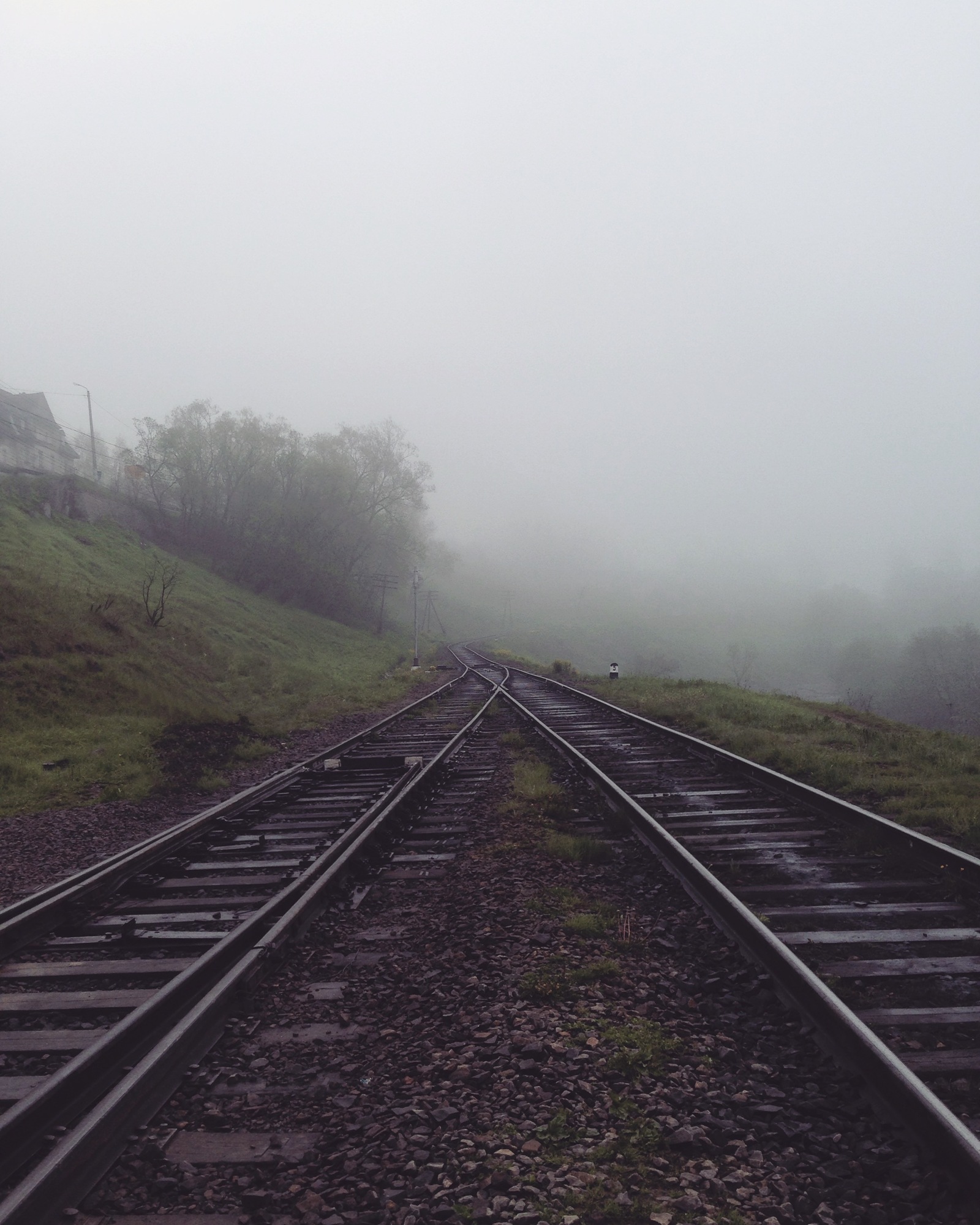 Do you love the railroad as much as I do? - My, Photo, A train, Railway, Longpost