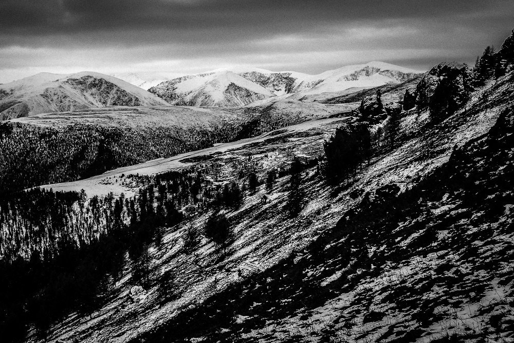 At an altitude of 3000 meters. - The mountains, Altai, Autumn, Longpost, Beluga Whale Mountain, Altai Republic