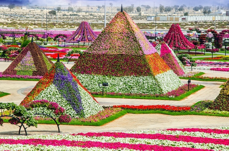 Flower Miracle Park in Dubai - Dubai, Flowers, The park, Longpost