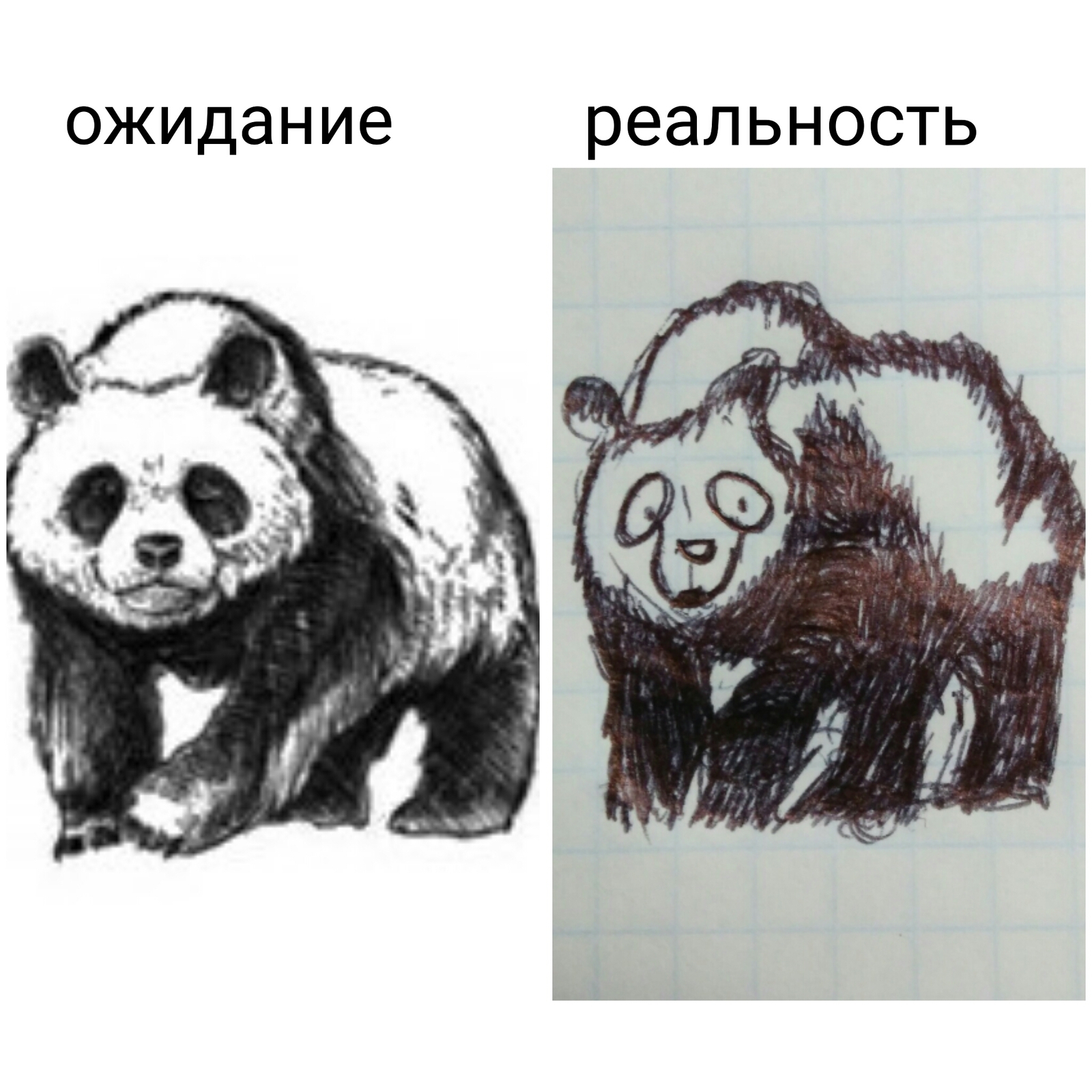 When drawing is not for you - My, Expectation and reality, Drawing, Panda, My