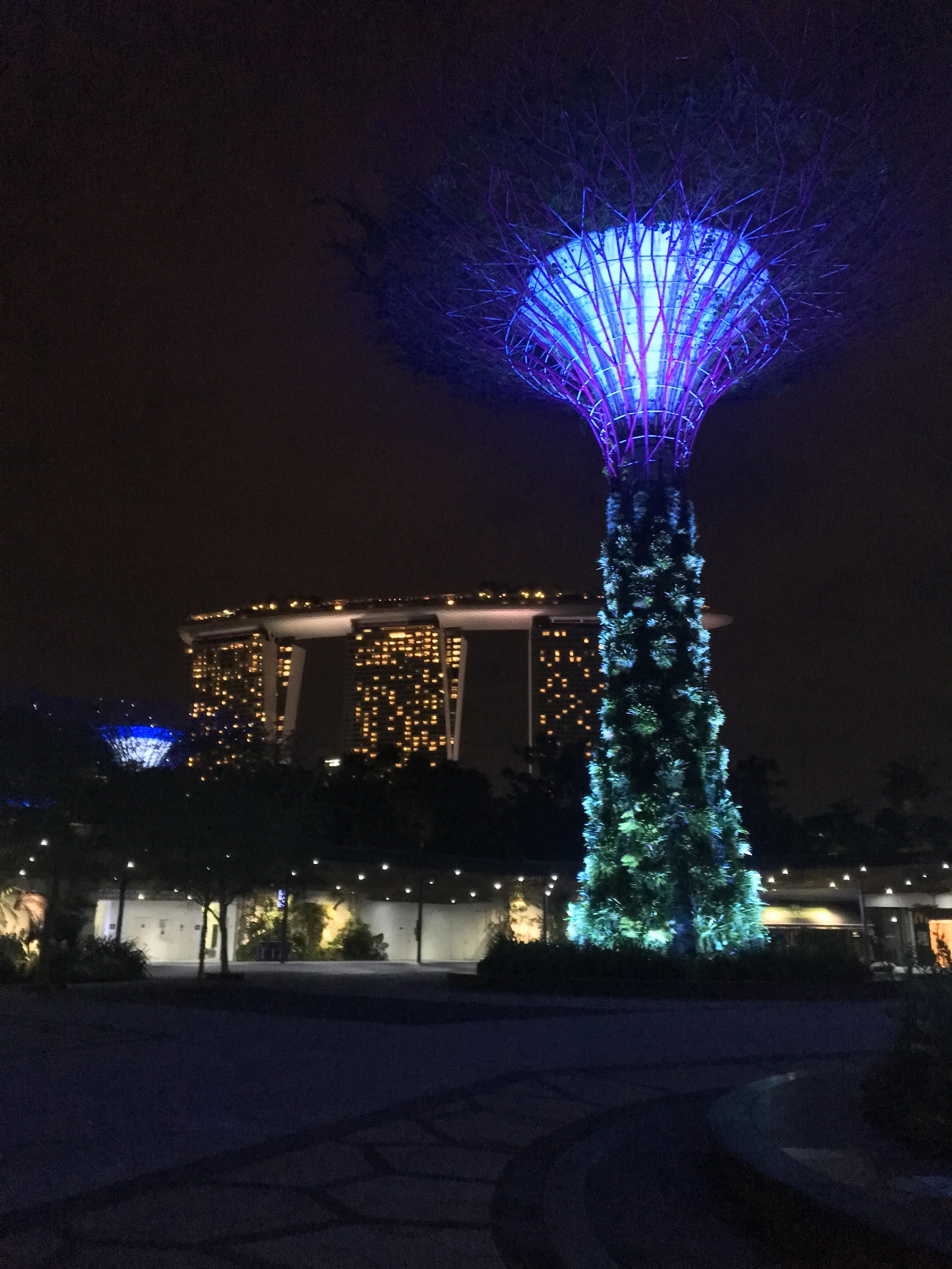 Night Singapore - My, Singapore, Photo, The park, Hotel, Technopolis