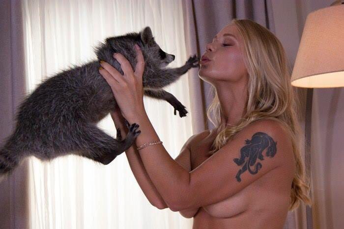 Come up with a caption for the picture - NSFW, Raccoon, Girls